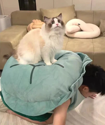 Wearable Turtle Shell Pillows™