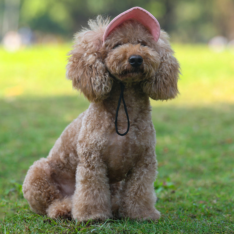 Pet Cap™