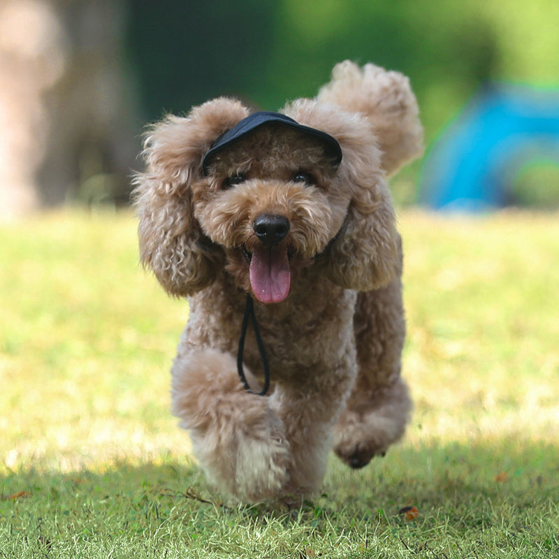 Pet Cap™