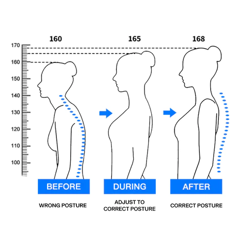 Adjustable Back Posture Belt™